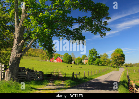 Bauernhof in West Highland County Virginia Stockfoto