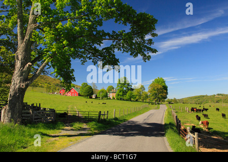 Bauernhof in West Highland County Virginia Stockfoto