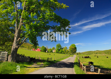 Bauernhof in West Highland County Virginia Stockfoto