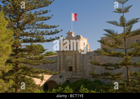 Haupttor Mdina Malta Stockfoto