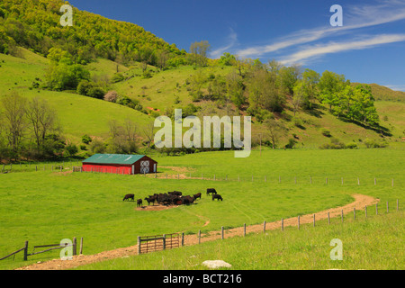 Bauernhof in Western Highland County Virginia Stockfoto