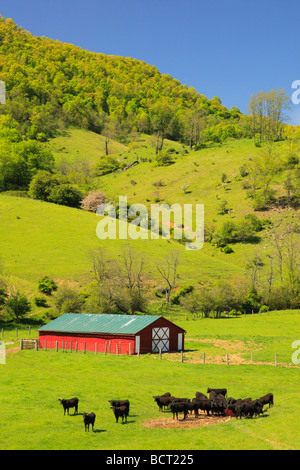 Bauernhof in Western Highland County Virginia Stockfoto