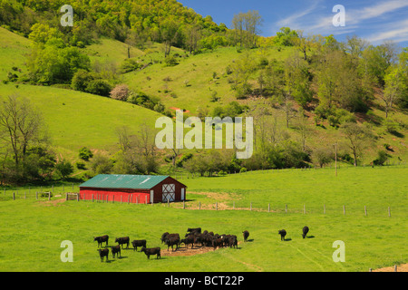 Bauernhof in Western Highland County Virginia Stockfoto