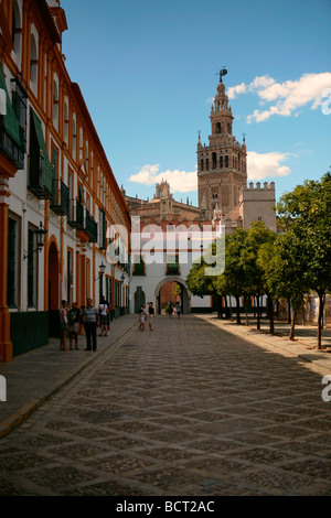 Catedral de Sevilla und La Giralda Glockenturm. Blick von der Alcazar, Sevilla, Spanien Stockfoto