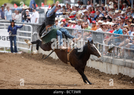 Reiten ohne Sattel Wettbewerb beim 90. jährliche Black Hills Roundup Rodeo in Belle Fourche, South Dakota 4. Juli 2009. Stockfoto