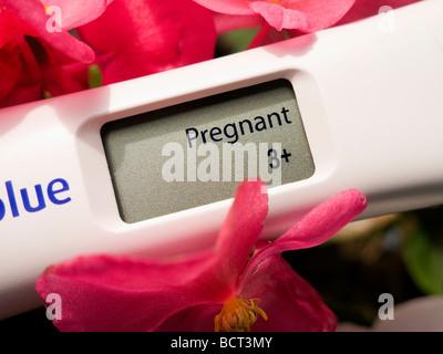 Ein Schwangerschaftstest Gerät zeigt ein positives Ergebnis schwangeres auf dem LCD-Display. Stockfoto