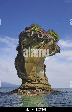 Stack Rock im Bako Nationalpark Stockfoto