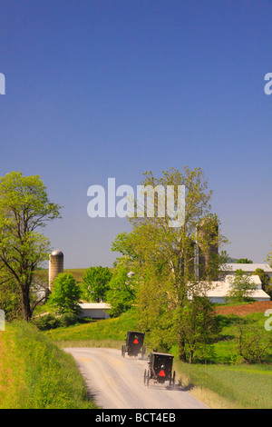 Mennonite Buggys auf Straße in der Nähe von Dayton im Shenandoah Valley Virginia Stockfoto