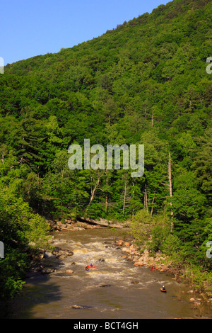 Kanuten und Kajakfahrer auf Maury Fluss Goshen übergeben natürliche Umgebung bewahren Goshen Virginia Stockfoto