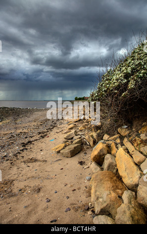 Fluss Ufererosion, Fluss Humber Stockfoto