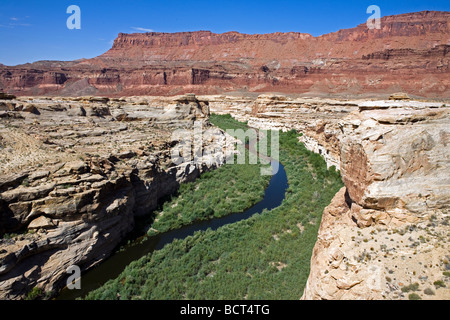 Dirty Devil River in der Glen Canyon National Recreation Area, Utah Stockfoto