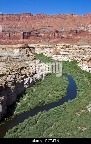 Dirty Devil River in der Glen Canyon National Recreation Area, Utah Stockfoto