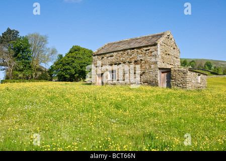 Scheune und Frühling Blumen in einem traditionellen Mähwiese im Swaledale Stockfoto