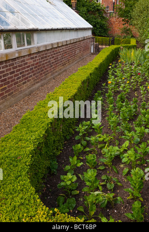 Eine ummauerte Gemüsegarten in Redisham Hall in Suffolk Uk Stockfoto