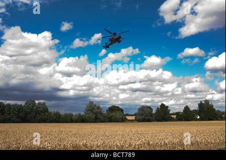 Apache Helikopter Army Air Corps Angriff britischer training Wattisham Boeing AH-64D Weizen Felder niedrig fliegenden niedrigen Suffolk Essex verscheuchen Stockfoto