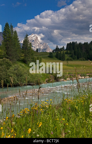 Monte Antelao und Boite Torrent, Cortina d ' Ampezzo, Dolomiten, Italien Stockfoto