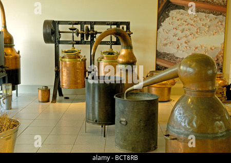 Parfümfabrik Fragonard Grasse weltweite Hauptstadt der Parfümerie Alpes Maritimes Cote d Azur französische Riviera Frankreich Stockfoto