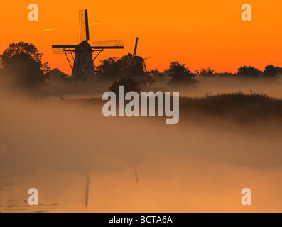 Morning Glory in dem kleinen Dorf Ten Boer in der Provinz Groningen im nördlichen Teil der Niederlande Stockfoto