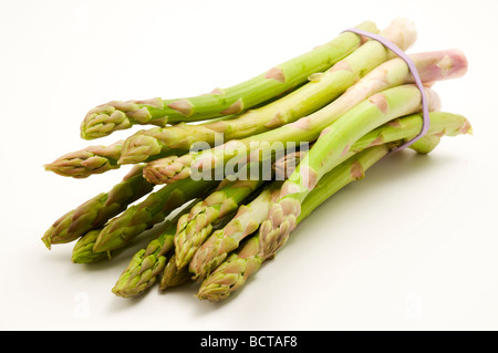 Reihe von Spargel auf weißem Hintergrund Stockfoto