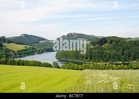 Landschaft, Hennesee See, Henne Reservoir, Naturpark Homert, Weg Wald Wald, Meschede, Sauerland, Nordrhein-Westpha Stockfoto