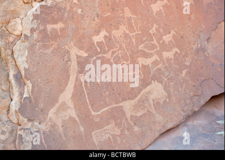 Petroglyphen in Twyfelfontein, Namibia, Afrika Stockfoto