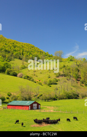 Bauernhof in Western Highland County Virginia Stockfoto