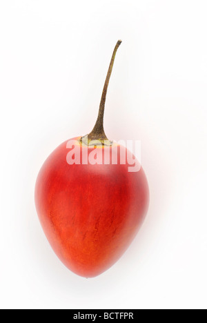 Tamarillo (Solanum Betaceum, Sy Cyphomandra Betacea) Stockfoto