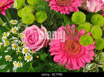 Bouquet mit Gerbera (Gerbera), Rosen (Rosa) und Oxeye Margeriten (Leucanthemum Vulgare) Stockfoto