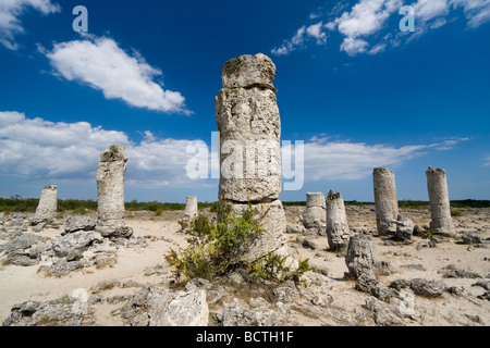 Pobiti Kamani (Standing Stones) Naturphänomen in der Nähe von Varna, Bulgarien Stockfoto