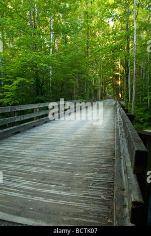 Brücke über Little Pigeon River Greenbrier Great Smoky Mountains Nationalpark TN Stockfoto