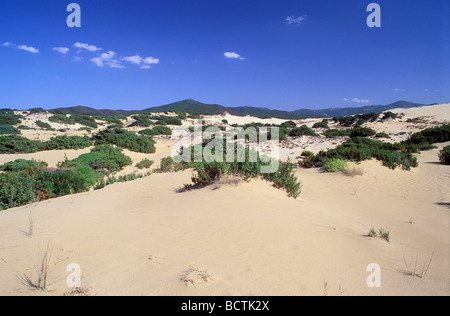 Sanddünen von Marina di Arbus, Costa Verde, Sardinien, Italien, Europa Stockfoto