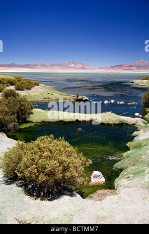 Die herrlichen Farben der Reserva Nacional Los Flamencos (The Flamingos National Park), Salar Tara, Atacamawüste, Chile Stockfoto