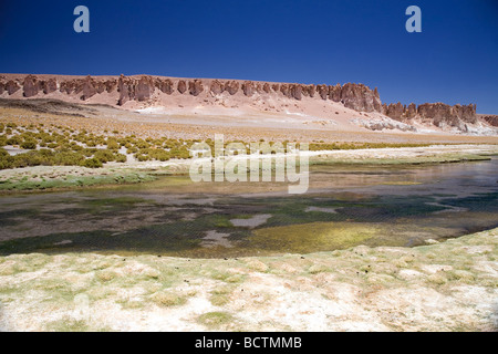 Die herrlichen Farben der Reserva Nacional Los Flamencos (The Flamingos National Park), Salar Tara, Atacamawüste, Chile Stockfoto