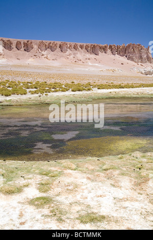 Die herrlichen Farben der Reserva Nacional Los Flamencos (The Flamingos National Park), Salar Tara, Atacamawüste, Chile Stockfoto