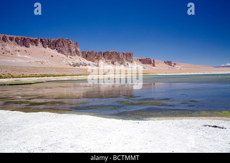 Die herrlichen Farben der Reserva Nacional Los Flamencos (The Flamingos National Park), Salar Tara, Atacamawüste, Chile Stockfoto