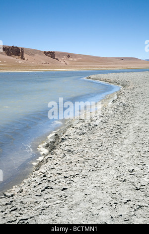 Die herrlichen Farben der Reserva Nacional Los Flamencos (The Flamingos National Park), Salar Tara, Atacamawüste, Chile Stockfoto