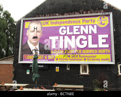 Die UKIP UK Independence Party Plakate für die Norwich North Nachwahl im Juli 2009. Alle wurden de-konfrontiert mit graffiti Stockfoto