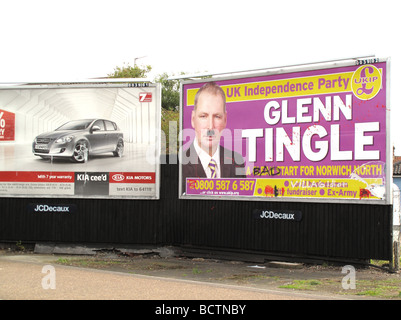 Die UKIP UK Independence Party Plakate für die Norwich North Nachwahl im Juli 2009. Alle wurden de-konfrontiert mit graffiti Stockfoto