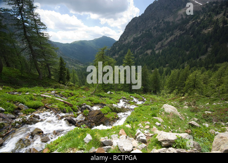 Parc National Du Mercantour, südlichen Alpen, Frankreich Stockfoto