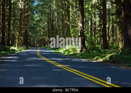 Straße in Hoh Regenwald im Olympic National Park Washington State USA Stockfoto