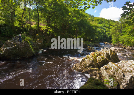 Fischer Angeln am Fluss Conwy im Juli Sommersonnenschein Wales Cymru UK United Kingdom GB Großbritannien britische Inseln Stockfoto