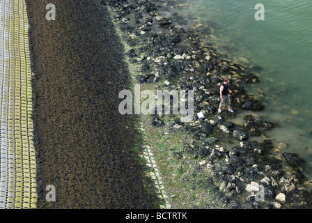 Niederländische Deich bei Ebbe mit einer Felge exponierten Seetang und Angler unter ihm. Zeeland, Oosterschelde, Niederlande. Stockfoto