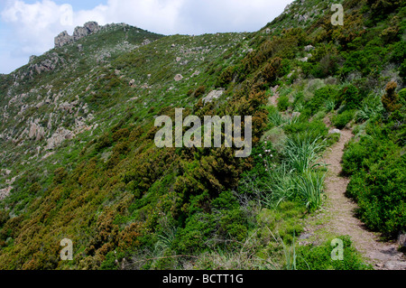 Capraia Küste, Toskanischer Archipel, Toskana, Italien Stockfoto