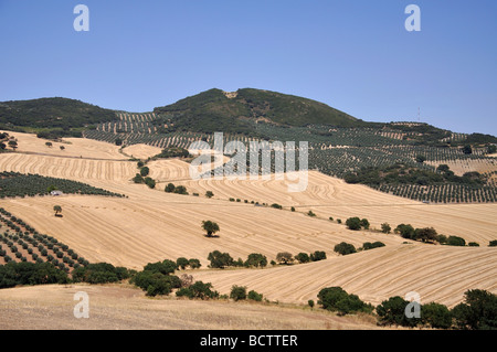 Sierra de Las Cabras in der Nähe von Antequera, Provinz Malaga, Andalusien, Spanien Stockfoto