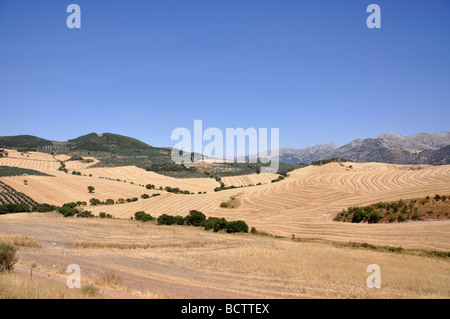 Sierra de Las Cabras in der Nähe von Antequera, Provinz Malaga, Andalusien, Spanien Stockfoto