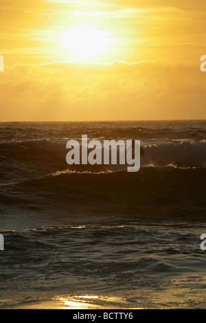 Bereich der Sennen, England. Silhouette Ansicht eines Surfers Gwenver Strand bei Sonnenuntergang. Stockfoto