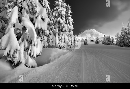 Timberline Lodge und Mt. Hood mit Ski-Abfahrt nach schweren Schnee neu Oregon Stockfoto