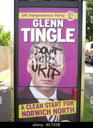 Die UKIP UK Independence Party Plakate für die Norwich North Nachwahl im Juli 2009. Alle wurden de-konfrontiert mit graffiti Stockfoto