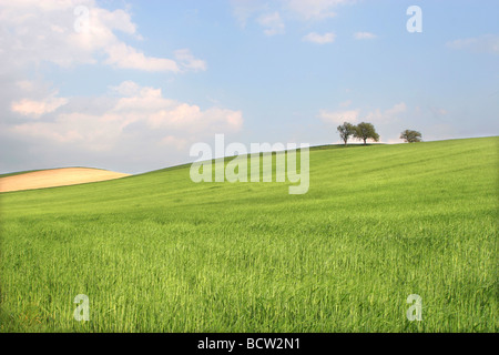 Landschaft mit acre Stockfoto