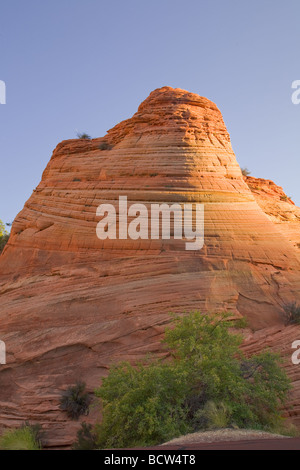 Navajo Sandstein-Formationen, Zion Nationalpark, USA Stockfoto